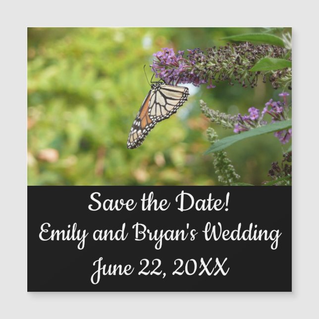 Carte Magnétique Papillon Monarque sur papillon pourpre Bush (Devant)