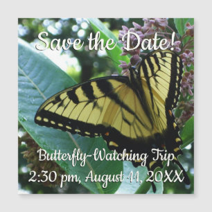 Carte Magnétique Papillon Swallowtail I sur Milkweed à Shenandoah