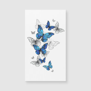 Carte Magnétique Papillons volants bleus Morpho