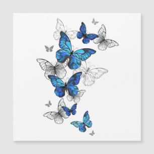 Carte Magnétique Papillons volants bleus Morpho