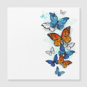 Carte Magnétique Papillons volants Morpho et Monarch
