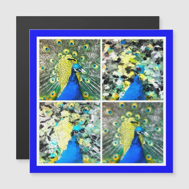 Carte magnétique Peacock Art (Devant / Derrière)