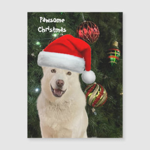 Carte Magnétique Père Noël Paws - Crystal the Husky Dog Christmas