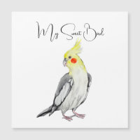 Perroquet aquarelle Cacatoès mignon.