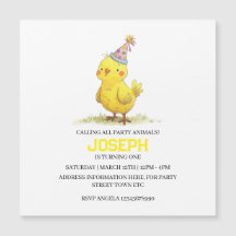 Petite ferme de poussins Anniversaire poulet