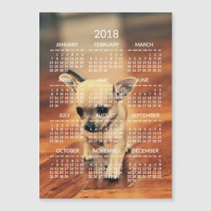Carte magnétique photo Calendrier Chihuahua 2018 5