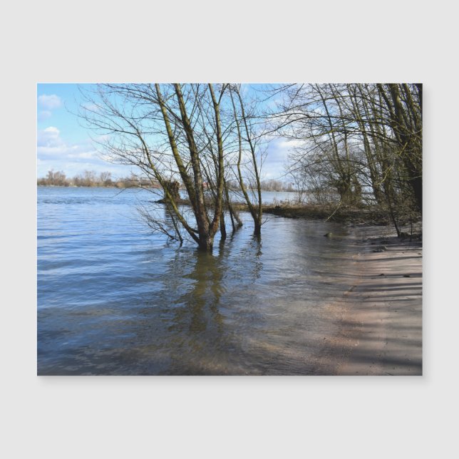 Carte Magnétique Places perdues, Arbres sur la rive de la rivière (Devant)