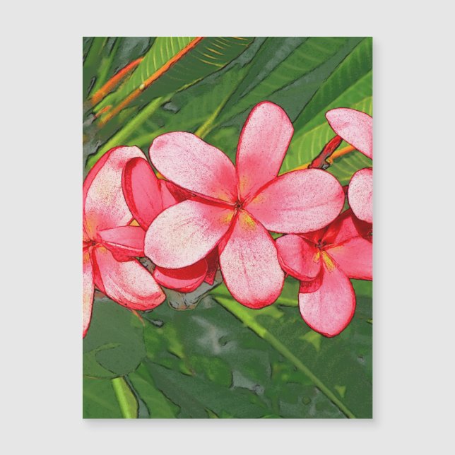 Carte Magnétique Plumeria (Devant)
