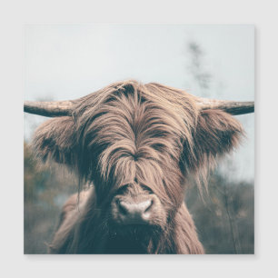 Carte Magnétique Portrait de vache Highland