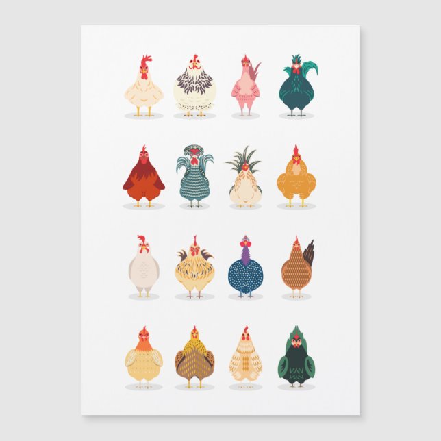 Carte Magnétique  Poulet mou (Devant)