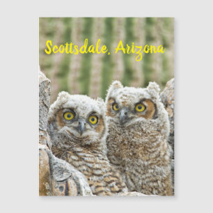 Carte Magnétique Qui est là ? Paire de Owl's Scottsdale, Arizona