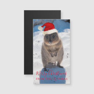 Carte Magnétique Quokka Australie Joyeux Noël