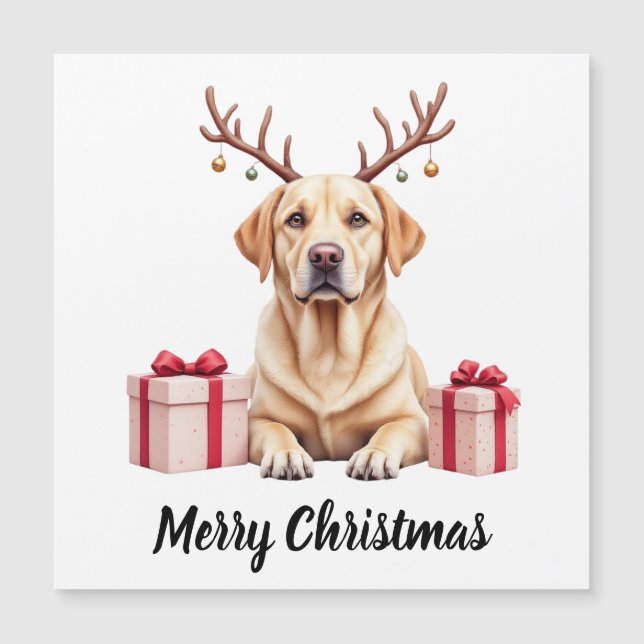 Carte Magnétique Rennes du Labrador (Devant)