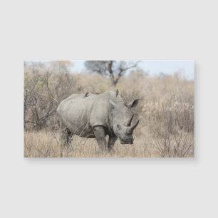 Carte Magnétique Rhino blanc
