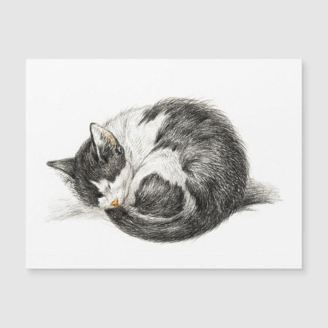 Carte Magnétique Rolled vers le haut couché chat (1825) (Devant)