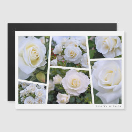 Carte Magnétique Rosa White Arrow