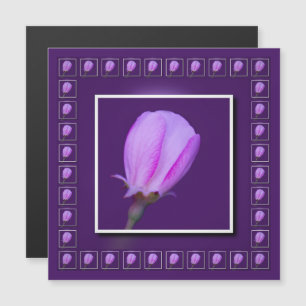 Carte magnétique rose et pourpre à ressort