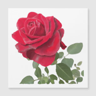 Carte Magnétique  Rose rouge peinture