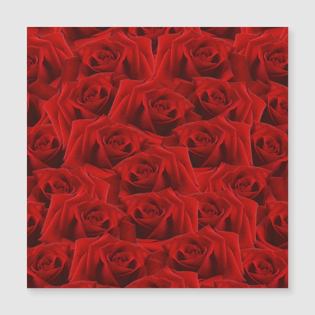 Carte Magnétique Rose rouge romantique (Devant)
