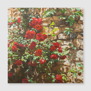 Carte Magnétique Roses rouges contre un mur de pierre