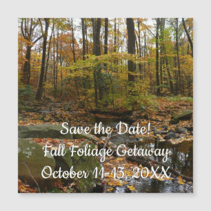 Carte Magnétique Ruisseau de Fall avec reflet au parc Laurel Hill