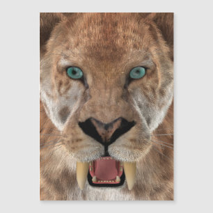 Carte Magnétique Saber Toothed Ttiger ou Smilodon