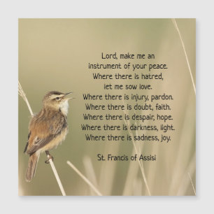 Carte Magnétique Saint François d'Assise Prière Oiseau Inspirationn