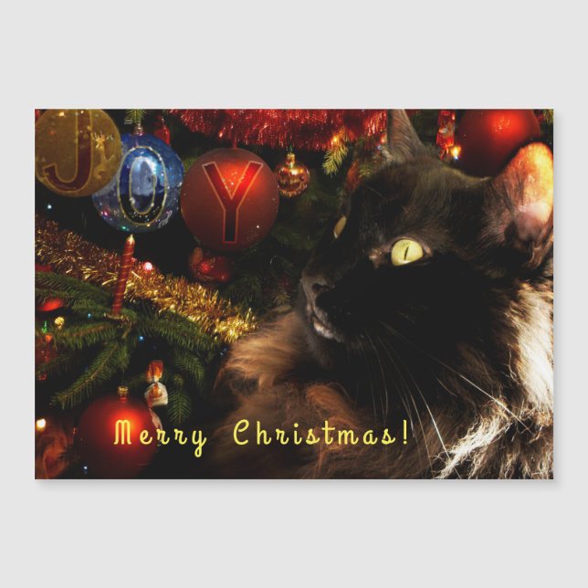 Carte Magnétique Salutations de Noël Kitty (Devant)