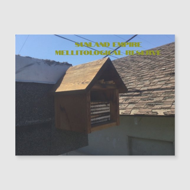 Carte magnétique SEMR (Devant)