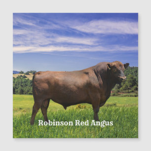 Carte Magnétique Taureau Red Angus