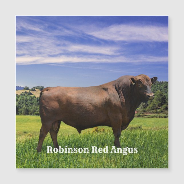 Carte Magnétique Taureau Red Angus (Devant)