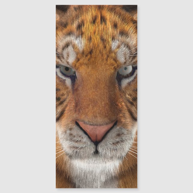 Carte Magnétique Tigre (Devant)