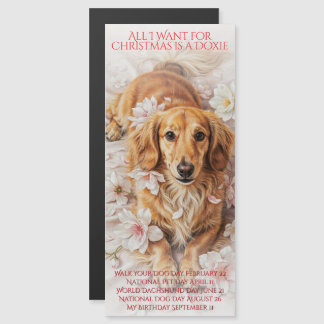 Carte Magnétique Tout ce que je veux pour Noël est un Doxie