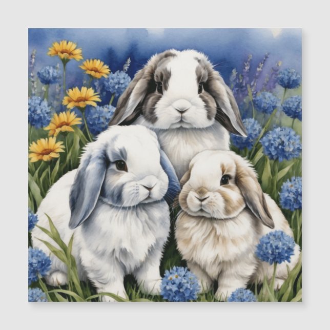 Carte Magnétique Trois petits lapins lapins de lapin de lop (Devant)