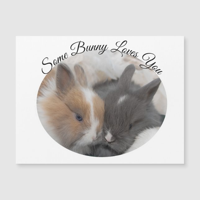 Carte Magnétique Un Lapin T'Aime (Devant)