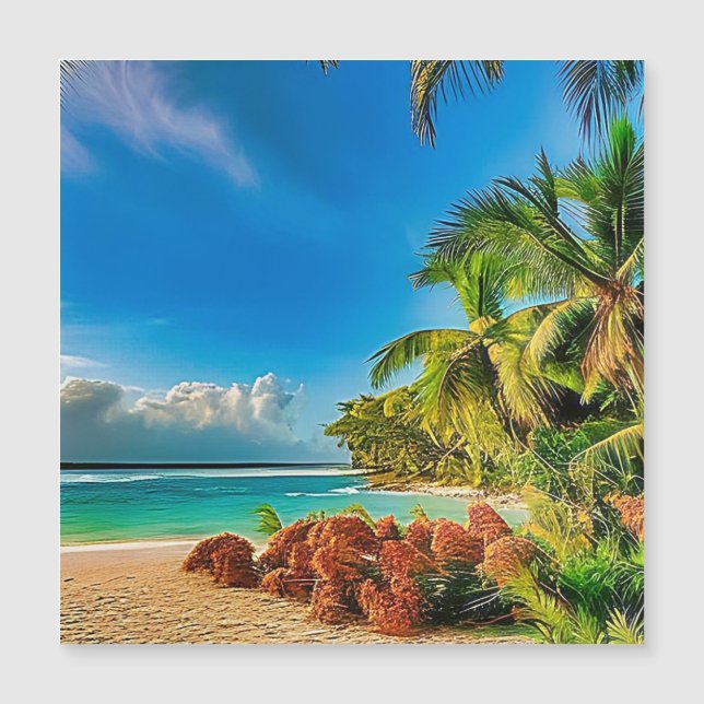 Carte Magnétique Un paradis tropical. (Devant)