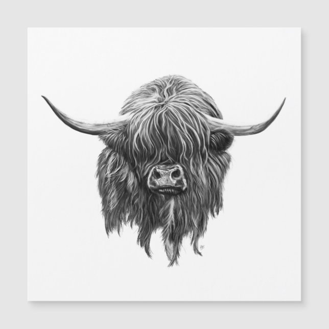 Carte Magnétique Vache Écossaise Highland En Noir Et Blanc (Devant)