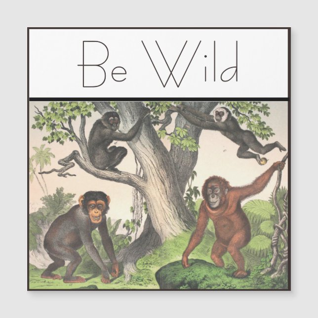 Carte Magnétique Vintage de singe inspiré (Devant)