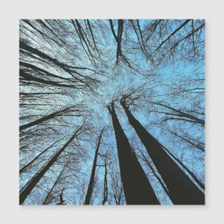 Carte Magnétique Whispers of the Whisper Forest