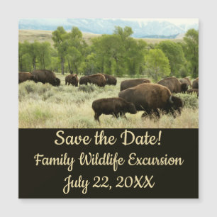 Carte Magnétique Wyoming Bison Nature Animal Photographie