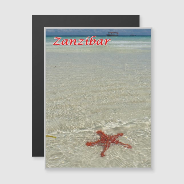 Carte Magnétique Zanzibar - Sea View - Starfish - (Devant / Derrière)