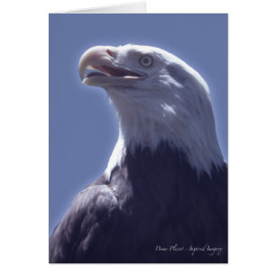 Carte magnifique d'Eagle