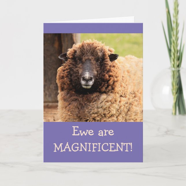 Carte Magnifique mouton Joyeux anniversaire (Devant)