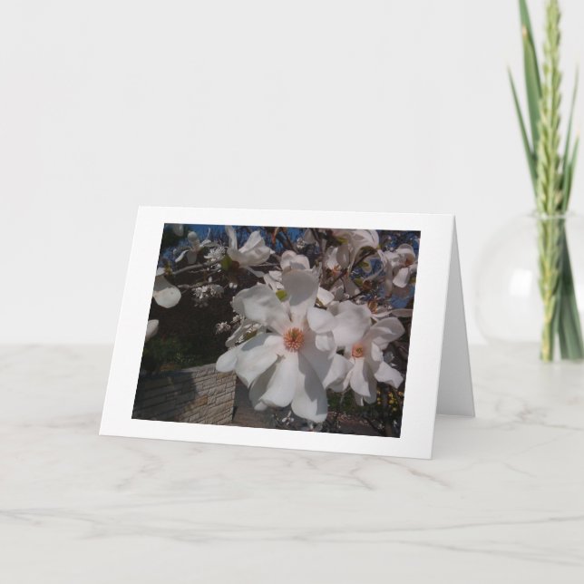 Carte Magnolia (Devant)