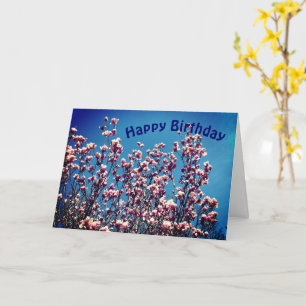 Carte Magnolia Blossoms Blue Sky Flower Anniversaire