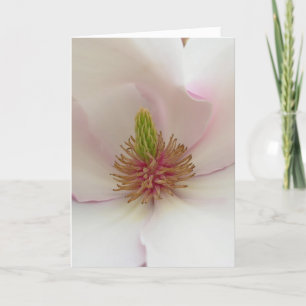 Carte Magnolia Carte Blancs Fleur Personnaliser