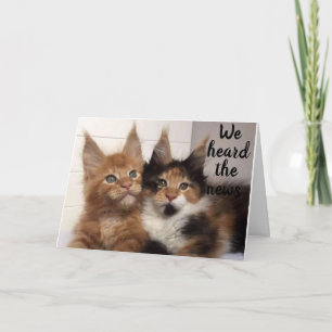 CARTE MAINE COON CATS DIT **30** BONJOUR D'ANNIVERSAIRE