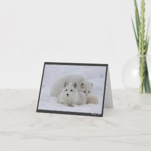 Carte Maintenir chaud