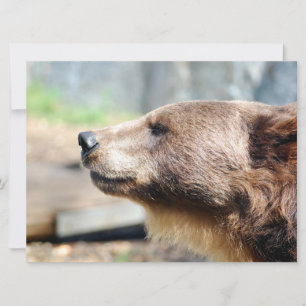 Carte Maître Bruin