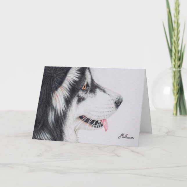 Carte Malamute d'Alaska aux cheveux longs (Devant)